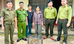 Khỉ hoang đi lạc vào khu dân cư, người phụ nữ bắt giao nộp công an