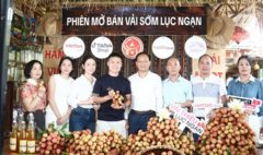 Phó Chủ tịch tỉnh Bắc Ninh livestream bán vải thiều:  "Chốt đơn " hơn 31 tấn