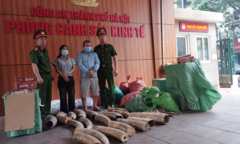 Khởi tố đường dây buôn bán ngà voi, thuốc lá lậu quy mô lớn tại Hà Nội