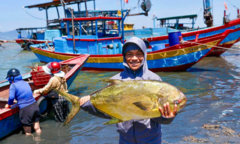 Ngư dân trúng đậm một tấn cá nhóm  "tứ quý ", thu về 300 triệu đồng