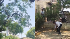  "Tên cướp " táo tợn giật túi 55 triệu của luật sư rồi leo lên cây, hành động sau đó khiến cả khu vực hỗn loạn