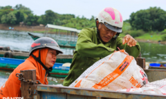 Nguyên nhân ban đầu khiến hơn 200 tấn cá chết trắng hồ Trị An