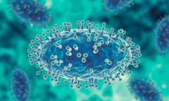 Đưa trái phép virus đậu mùa khỉ vào Mỹ, hai nhà nghiên cứu bị truy tố 
