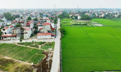 Đất lúa cạnh khu dân cư có được chuyển sang đất ở?
