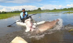 Ngồi thuyền kayak câu cá, người đàn ông sững sờ chạm trán  "thủy quái " khổng lồ trên sông