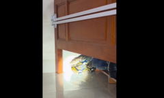 Nghe tiếng động lạ dưới gầm giường lúc 1h sáng, người đàn ông Khánh Hòa giật mình thấy trăn dài 3m