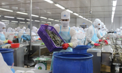 Xuất khẩu tôm và cá tra tăng trưởng hai con số 