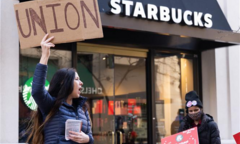 Nguồn cơn khiến Starbucks Hàn Quốc bị tẩy chay dữ dội, CEO mất chức trong ngày