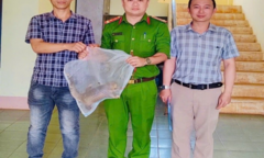 Tin tức thời sự 24h: Người dân phát hiện tê tê vàng quý hiếm khi đi làm rẫy