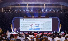“Áo khoác” mới của Doanh nghiệp tư nhân nhìn từ Hội thảo FTZ Đà Nẵng