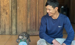 Phát hiện rùa núi vàng quý như  "báu vật " nặng 1,8kg, người dân Quảng Ngãi giao nộp chính quyền địa phương