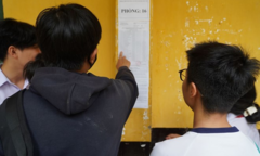 Tra cứu điểm thi lớp 10 ở TPHCM từ 9h sáng 19/6