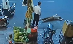 Công an xác minh vụ người phụ nữ bị xô ngã bất tỉnh giữa đường sau khi nhắc việc đỗ xe