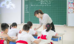 Có thể chuyển từ kế toán sang giáo viên tiểu học không?