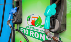 Xăng sinh học E10 sau gần 1 tháng mở bán: Con số đáng chú ý
