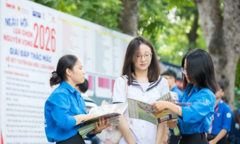 Tuyển sinh 2026: Lời khuyên từ lãnh đạo Bộ GD&ĐT giúp thí sinh thoát bẫy  "chọn ngành theo đám đông "