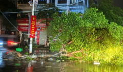 Bão Maysak  "quần thảo " Quảng Ninh, cây xanh gãy đổ, nhiều tuyến phố ngập nước