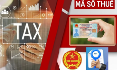 Người lao động có hai quốc tịch, sử dụng mã số thuế thế nào?