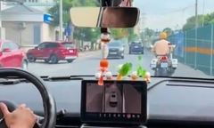 CSGT Hà Nội mở đường, kịp thời đưa sản phụ đến bệnh viện an toàn