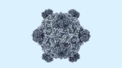 AI tạo ra 16 virus chưa từng tồn tại: Đột phá y học đi kèm nỗi lo an ninh sinh học?