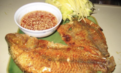 Sự thật ngỡ ngàng về loài cá mang tên 