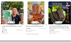 Tổng doanh số bán  "trâu gác bếp ",  "trâu khô ",  "trâu sấy " trên Shopee, TikTok Shop, Lazada, Tiki gần 120 tỉ đồng, shop Hải Sapa TV chiếm bao nhiêu? 