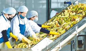  "Đại gia " nông sản Thực phẩm Hồng Hà kinh doanh ra sao trước những biến động nhân sự Công ty đang diễn ra?