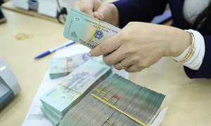 Vì sao Công ty Cổ phần Signo Land  bị xử phạt 85 triệu đồng?