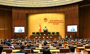Phân công soạn thảo 27 văn bản quy định chi tiết thi hành 15 luật, nghị quyết