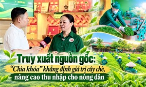 Chắp cánh cho “đệ nhất danh trà” Thái Nguyên vươn tầm thế giới - Bài 2: Truy xuất nguồn gốc: “Chìa khóa” khẳng định giá trị cây chè, nâng cao thu nhập cho nông dân