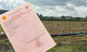 Tính lại tiền sử dụng đất khi xác định sai diện tích trong hạn mức như thế nào?
