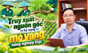 Chắp cánh cho “đệ nhất danh trà” Thái Nguyên vươn tầm thế giới - Bài 3: Truy xuất nguồn gốc: Mã QR nhận diện toàn cầu và kỳ vọng từ mỏ vàng nông nghiệp Việt