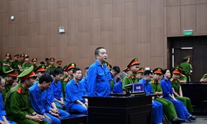 Cựu Viện trưởng Viện Pháp y tâm thần Trung ương lĩnh 20 năm tù