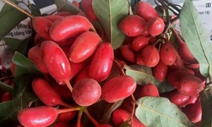 Đặc sản có tên 
