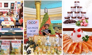 Lào Cai ban hành Quy chế hoạt động của Hội đồng đánh giá, phân hạng sản phẩm OCOP cấp tỉnh