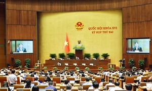 Ngày 19/10, Quốc hội tiếp tục thảo luận về các dự án luật