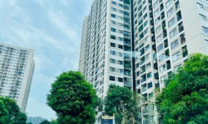 Chung cư phải thực hiện thủ tục môi trường nào?