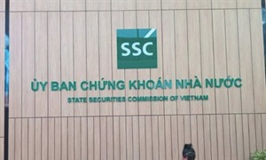 Công ty cổ phần Dịch vụ Kỹ thuật Viễn thông đã có những vi phạm gì?
