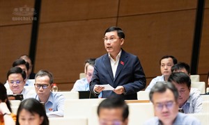 Nghịch lý vốn có sẵn nhưng không chảy vào sản xuất: ĐBQH hiến kế
