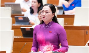 ĐBQH: Chính sách tiền lương, phụ cấp cần đi đôi với hoàn thiện vị trí việc làm