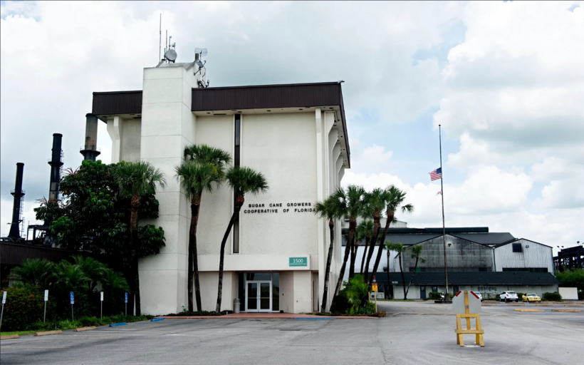 bi duoi viec cong nhan 86 tuoi ban chet ong chu 1 Cơ sở chuyên canh mía đường ở Belle Glade. Ảnh: NBC
