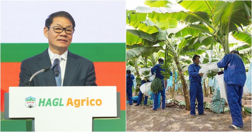 Hiện ông Trần Bá Dương đang giữ vị trí Chủ tịch HĐQT HAGL Agrico.