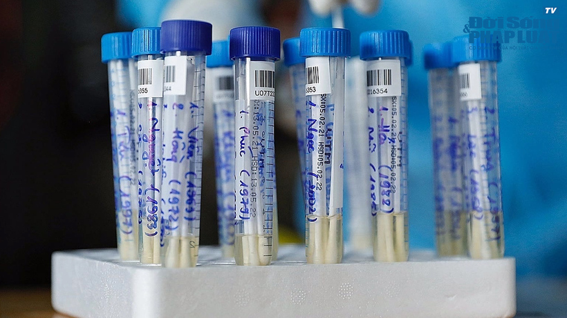 Tỷ lệ số ca dương tính, của các vùng nguy cơ tại TP Hồ Chí Minh giảm từ 0,4% xuống 0,2%. (Ảnh minh họa)