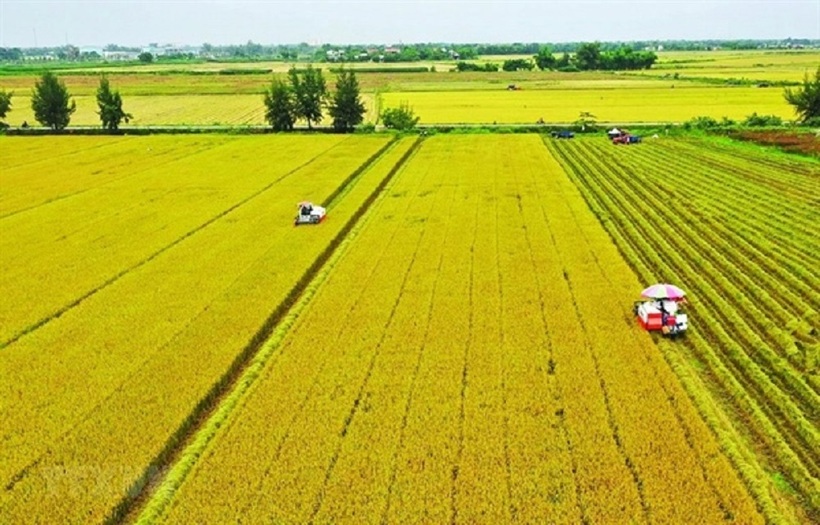 Thể chế hóa chủ trương của Đảng về nông nghiệp, nông dân, nông thôn trong Luật Đất đai 2024-3.jpg