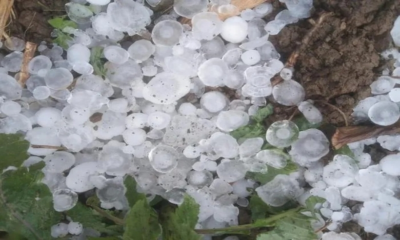 Ban Chỉ đạo quốc gia về phòng chống thiên tai cho biết những trận mưa đá vừa qua không phải là hiện tượng bất thường. Ảnh minh họa: Sức Khỏe & Đời Sống