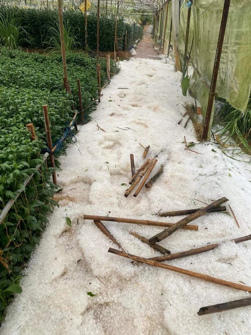 Mưa đá xuất hiện ở TP Đà Lạt. Ảnh: Công an Nhân dân