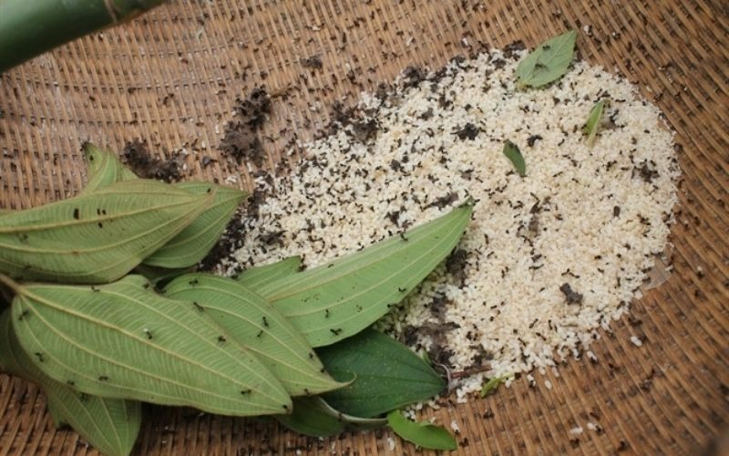 Trứng kiến được xếp vào hàng các món ăn đặc sản quý hiếm. Ảnh minh họa