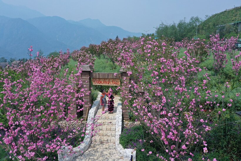 Ngày hội Sa Pa tại Hà Nội: Sun World Fansipan Legend tặng hàng trăm vé cáp treo, tàu hỏa leo núi - 3