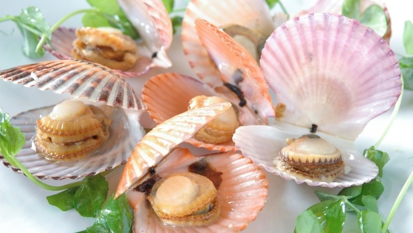 Bí kíp hấp sò điệp ngon ngọt, không tanh.