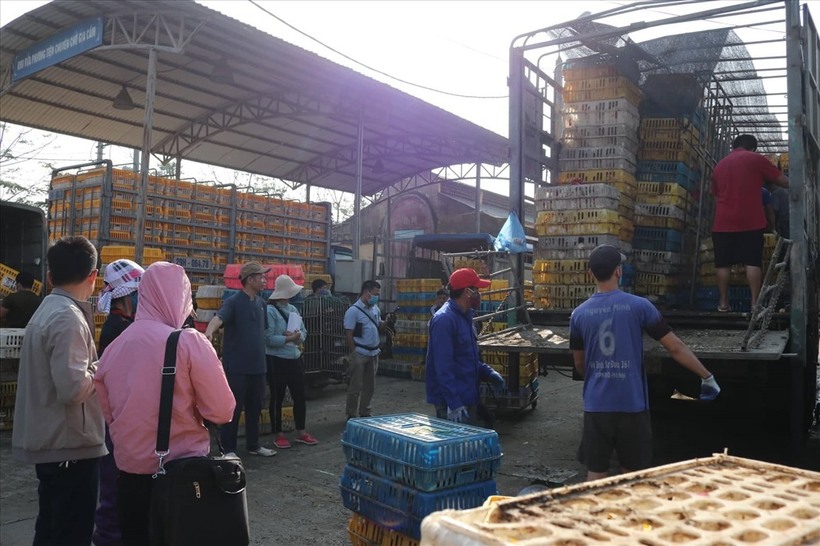 Nguy cơ lây nhiễm cúm hiện nay vô cùng lớn. Ảnh minh hoạ (Nguồn: LĐO)